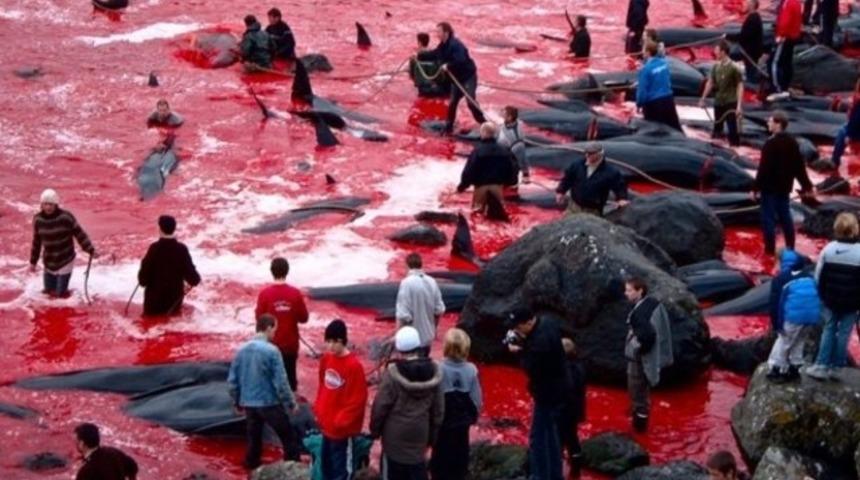 'Vahşet' kelimesi az kalır