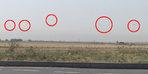 Suriye sınırında hareketli saatler... Helikopterler peş peşe havalandı