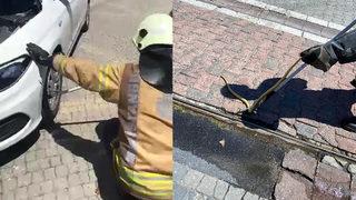 Otomobilin motoruna girdi! Sürücü çıkarmaya çalıştı ama başaramadı: İtfaiye müdahale etti