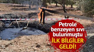 Petrole benzeyen sıvıyla ilgili ilk bilgiler geldi! Tüm ilçeyi heyecanlandıran olayda yeni gelişme... TPAO numune aldı