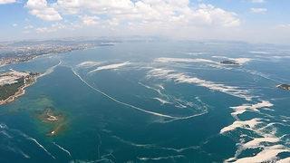 Son dakika: Beklenen yasa teklifi TBMM'de kabul edildi! Cezalar daha da artıyor