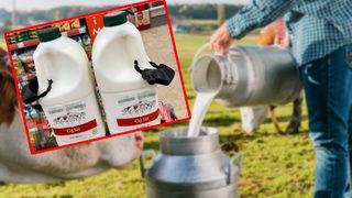 Bu da oldu! Şimdi de süte alarm taktılar...