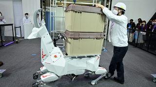 Japon Kawasaki'den keçi şeklinde robot: BEX