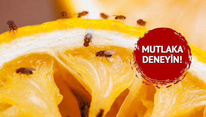 Meyvelerin üzerine üşüşen minik sineklerden kurtulmanın basit yolu
