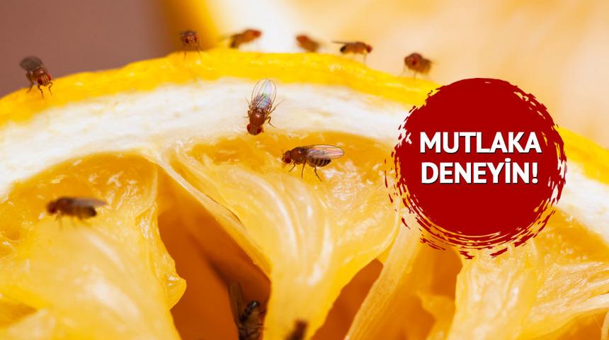 Meyvelerin üzerine üşüşen minik sineklerden kurtulmanın basit yolu