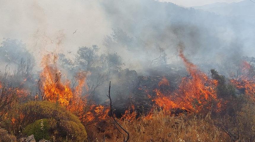 Muğla Dalaman'da orman yangını! Çok sayıda ekip sevk edildi