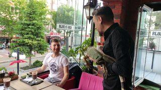 Yozgat'ta bu kafeye giren  iguana ile karşılaşıyor! 'Siparişleri birlikte alıyoruz'