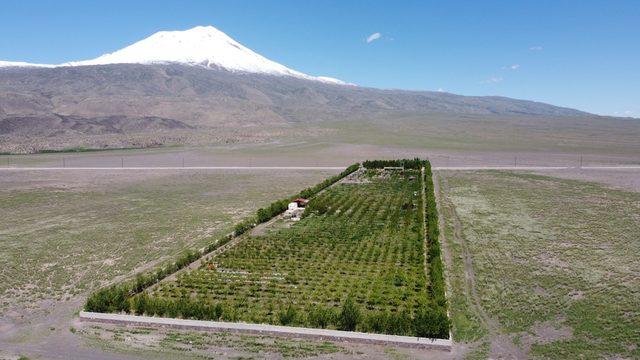 5-milyon-tllik-cocukluk-hayali-binlerce-fidan-dikip-orman-kurdu_1490_dhaphoto1