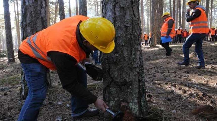Tarım ve Orman Bakanlığı 1800 personel alımı yapacak! Sözleşmeli personel alımı başvurusu nasıl yapılır, başvuru şartları neler?