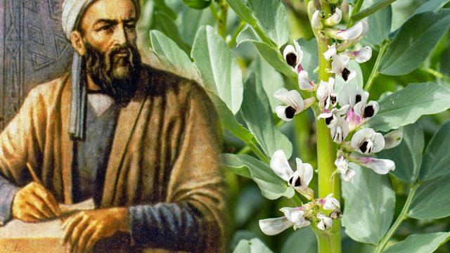 Uzun ömrün sırrı İbn-i Sina’nın kitabından çıktı! Doktor yüzü görmeyeceksiniz