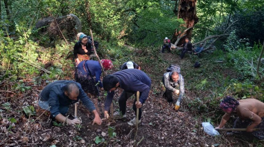 G&uuml;m&uuml;şhane'de 7 yıllık sır kayıp! K&ouml;yl&uuml;ler ot toplarken bulmuştu... Kafatası ve kemikler Hasan Germi&ccedil;'e ait