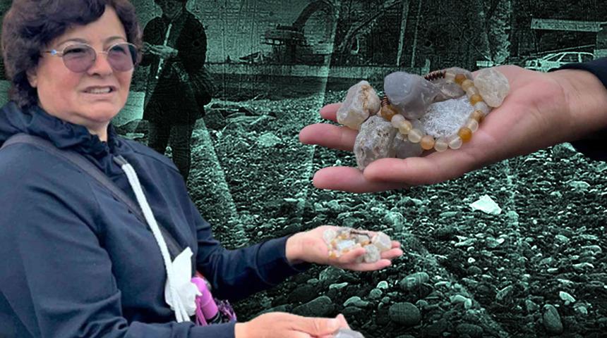 Hem sağlığa hem de ekonomiye katkısı var! Fatsa sahilinde bulunuyor: "Altın kadar değerli"