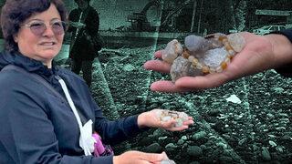 Hem sağlığa hem de ekonomiye katkısı var! Fatsa sahilinde bulunuyor: Altın kadar değerli