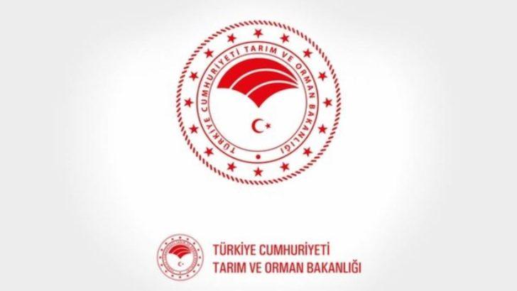 Tarım ve Orman Bakanlığı 1800 sözleşmeli personel alımı başladı! Tarım ve Orman Bakanlığı personel alımı şartları nelerdir? G2