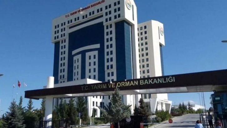Tarım ve Orman Bakanlığı 1800 sözleşmeli personel alımı başladı! Tarım ve Orman Bakanlığı personel alımı şartları nelerdir? G4