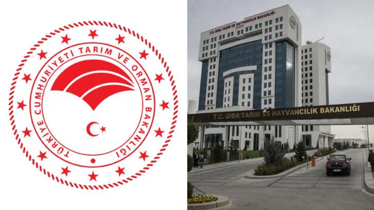 Tarım ve Orman Bakanlığı 1800 sözleşmeli personel alımı başladı! Tarım ve Orman Bakanlığı personel alımı şartları nelerdir? G5