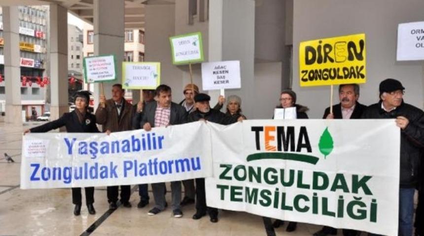 Enerji iletim hattı için ağaç kesimine tepki