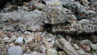 Onu görebildiniz mi?