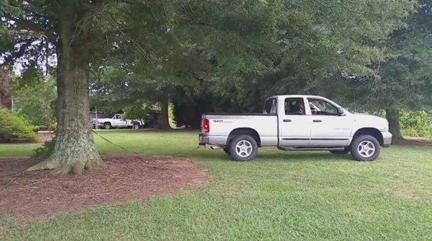 Ara&ccedil; sorgulama ve plaka sorgulama nasıl yapılır?