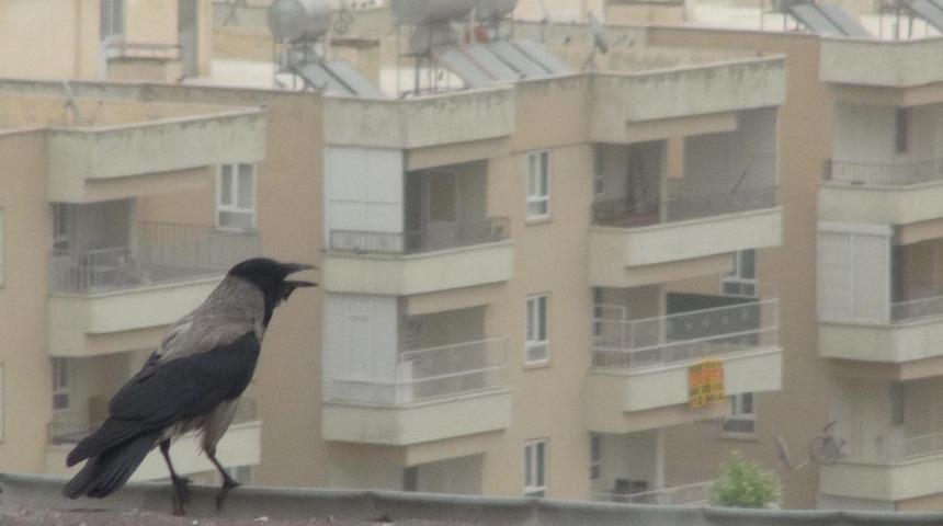 Vatandaşlar evlerine kapandı! Yetkililerden o il için önemli uyarı: Dışarı çıkmayın