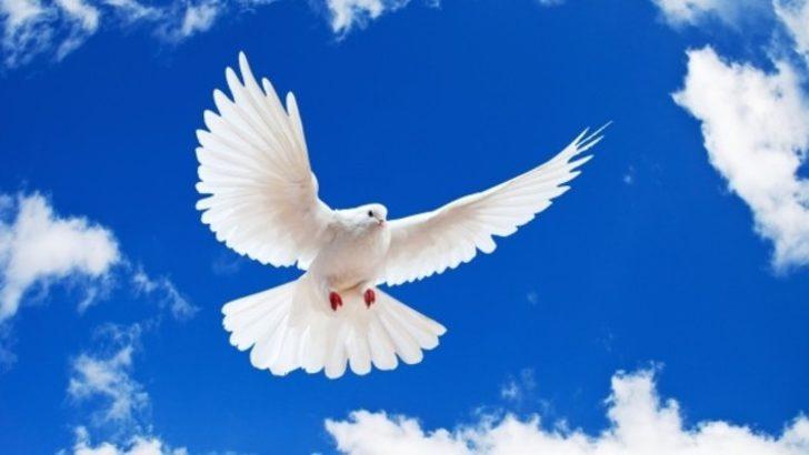 1 Eylül Dünya Barış Günü'nde savaş ve yıkım bitmiyor - Son Dakika Haberler