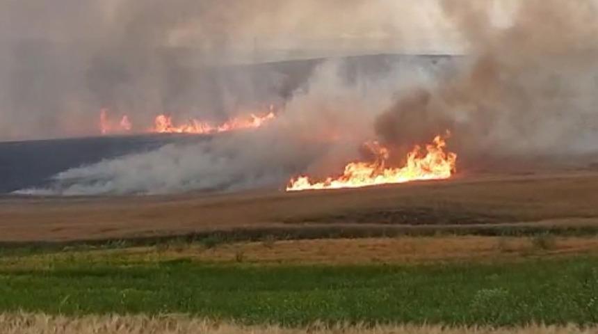 Tarlada çalışırken yıldırım isabet etti! 13 yaşındaki Abdulsamed'den acı haber