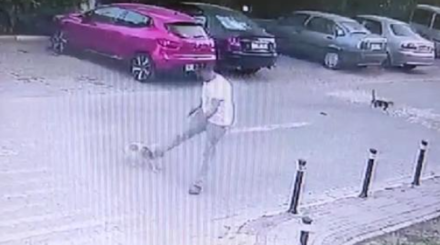 Akıllara durgunluk veren görüntü! Yolda yürürken sebepsiz yere köpeğe tekme attı