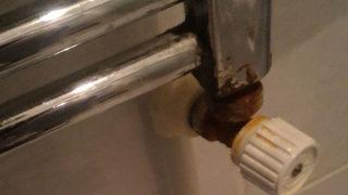 Yüzde yüz çalışıyor! Şimdiye kadar duymadınız: Pas lekesini çıkarmak için tek başına sirke yetmez bir de...