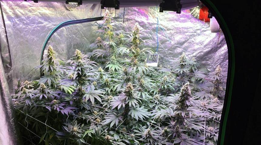 Adana'da iki kardeş evde uyuşturucu üretip, suçu birbirlerine attı