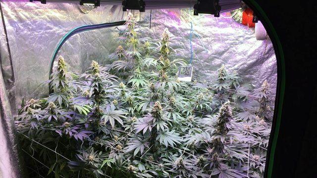 Adana'da iki kardeş evde uyuşturucu üretip, suçu birbirlerine attı