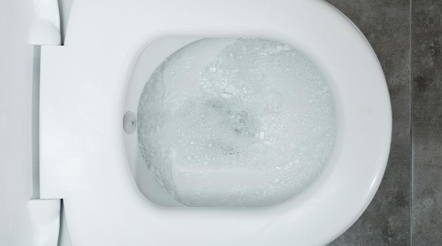 Sifonu çekerken kapağı kapatmayanlardan mısınız? Gerçekleri öğrendikten sonra kapatacaksınız