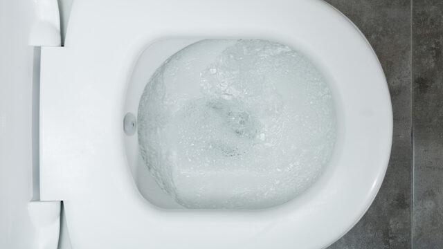 Sifonu çekerken kapağı kapatmayanlardan mısınız? Gerçekleri öğrendikten sonra kapatacaksınız