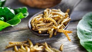 Kıtlık kapıda! Çok yakında sofralarda sahte muzlar ve solucanlar yer alacak