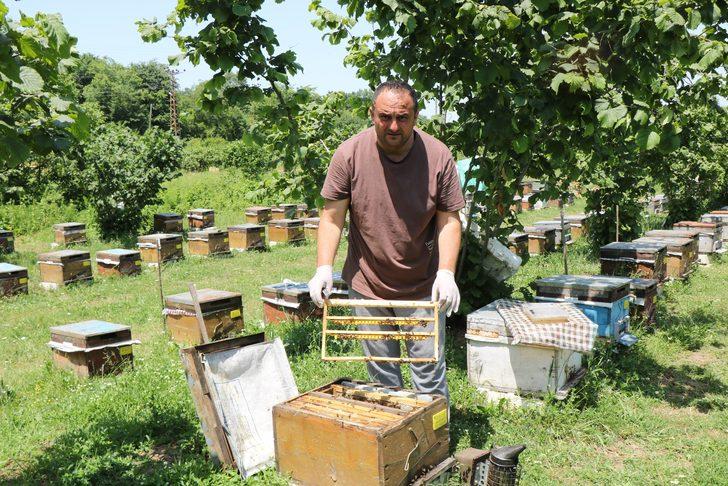 Faydaları saymakla bitmiyor! Ancak fiyatı dudak uçuklattı... Bu süt servet değerinde: Gramı 15, kilosu 15 bin TL G2