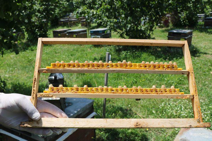 Faydaları saymakla bitmiyor! Ancak fiyatı dudak uçuklattı... Bu süt servet değerinde: Gramı 15, kilosu 15 bin TL G4