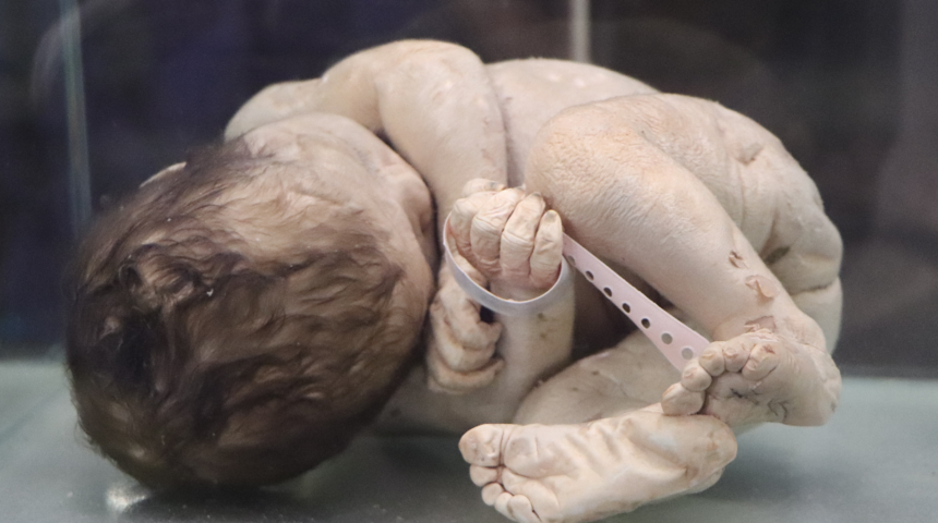 Samsun'da bu müzeye giren şaşkına dönüyor! Bu halde sergileniyorlar