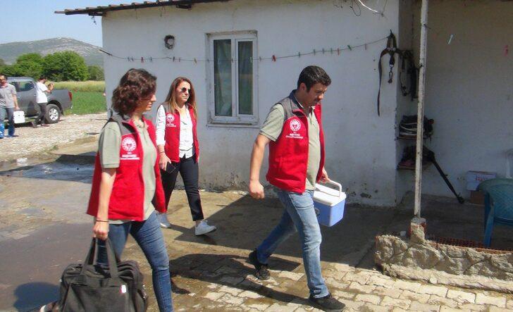 Tükiye'de bir ilk: 'Buzağım doğdu' hattı kuruldu G4