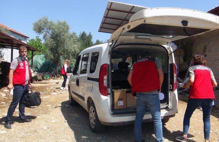 Tükiye'de bir ilk: 'Buzağım doğdu' hattı kuruldu G5