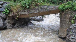 Sağanak yağış Borçka'da da etkili oldu