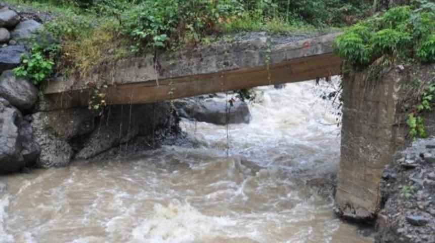 Sağanak yağış Borçka'da da etkili oldu