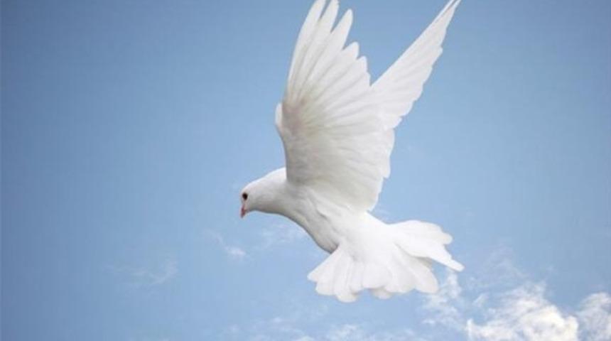 '400 Barış&ccedil;ı'dan biri olur musun?'