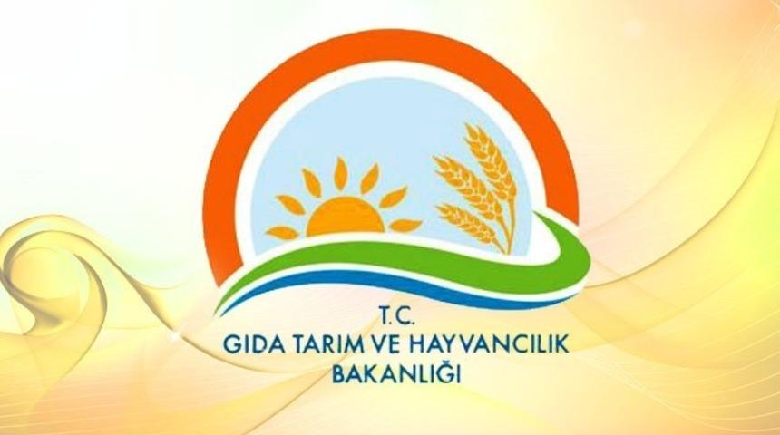 Gıda, Tarım ve Hayvancılık Bakanlığı taklit ve tağşiş yapan firmaları açıkladı