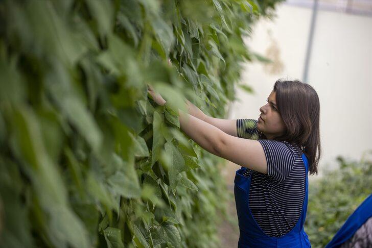 Öğrenciler istihdam garantili lisede mezun olmadan iş teklifi alıyor G2