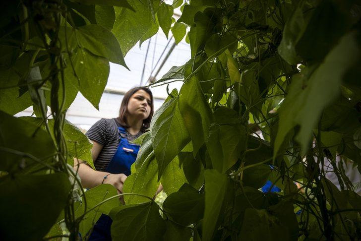 Öğrenciler istihdam garantili lisede mezun olmadan iş teklifi alıyor G3