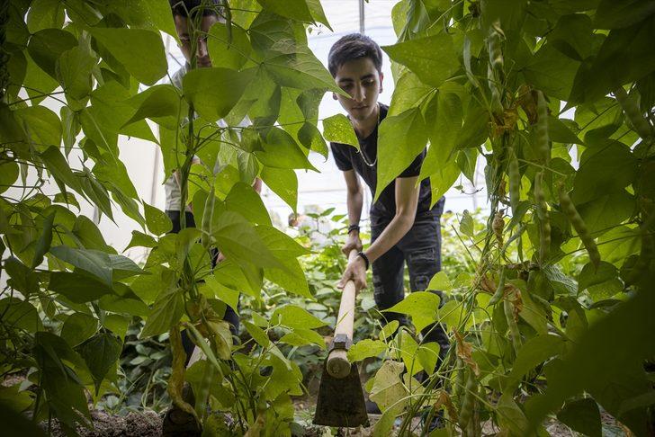 Öğrenciler istihdam garantili lisede mezun olmadan iş teklifi alıyor G4