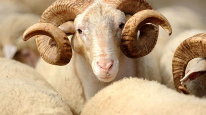 Başbakan imzaladı bayram tatili 9 gün