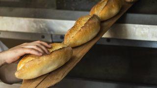 Son dakika: Ekmek fiyatları için çok kritik gelişme! 10 gün içinde hesaplara yatacak! 2022 buğday ve arpa alım fiyatı açıklandı