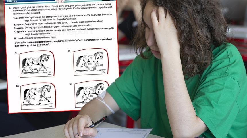 LGS'de öğrencilere sorulan 'at sorusu' sosyal medyayı ikiye böldü! Kimi skandal dedi kimi destek verdi