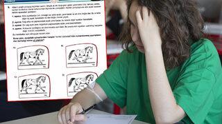 LGS'de öğrencilere sorulan 'at sorusu' sosyal medyayı ikiye böldü! Kimi skandal dedi kimi destek verdi