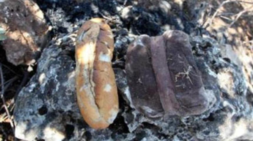 Katliamı &uuml;stlendi, İmralı'ya y&uuml;klendi